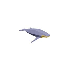 Whale